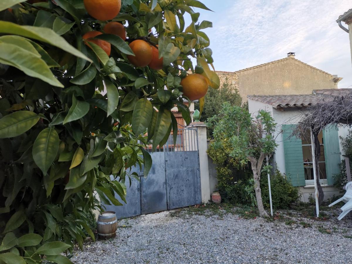 La Taniere 16 Couchages Villa Vergèze Dış mekan fotoğraf