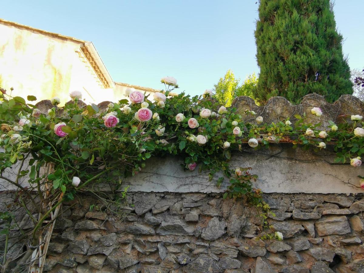 La Taniere 16 Couchages Villa Vergèze Dış mekan fotoğraf