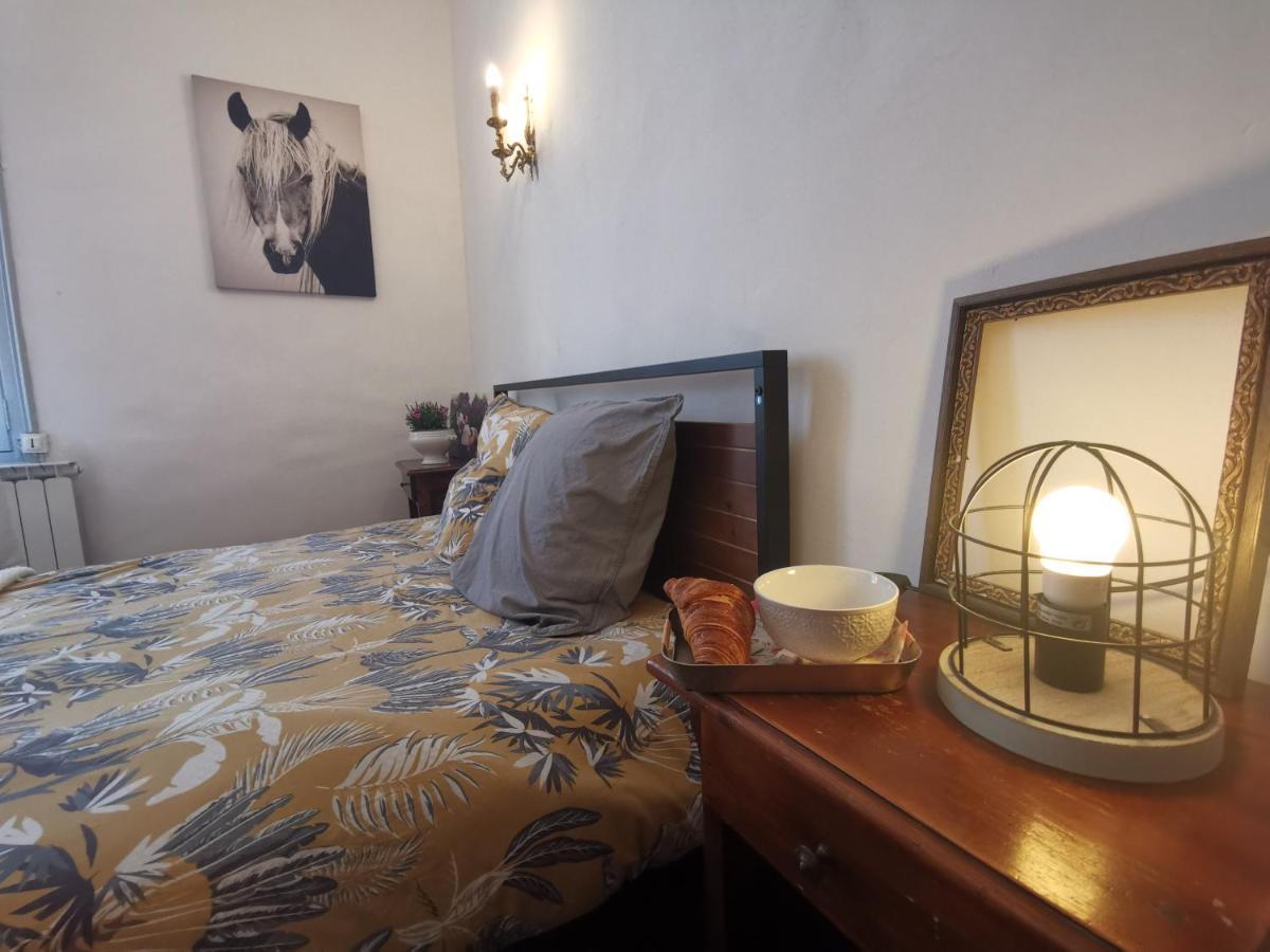 La Taniere 16 Couchages Villa Vergèze Dış mekan fotoğraf