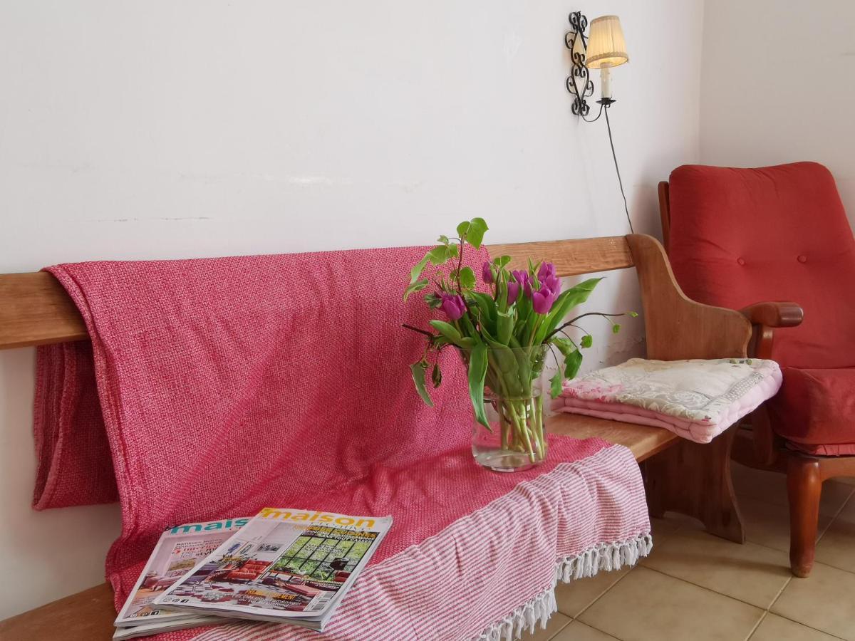 La Taniere 16 Couchages Villa Vergèze Dış mekan fotoğraf