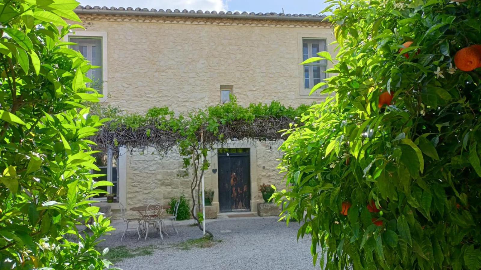 La Taniere 16 Couchages Villa Vergèze Dış mekan fotoğraf
